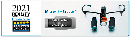 RealityMicro3_5